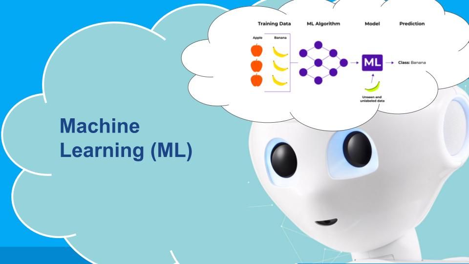 Piccolo Paul e il Machine Learning: Innovare la Didattica con la Robotica